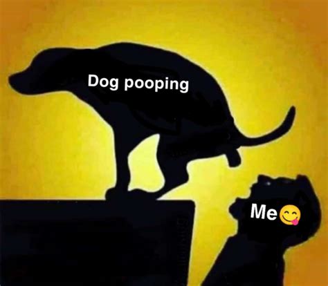 poop in mouth porn